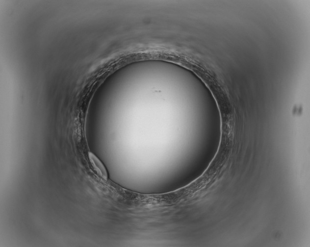 X0000090451493200707201303
