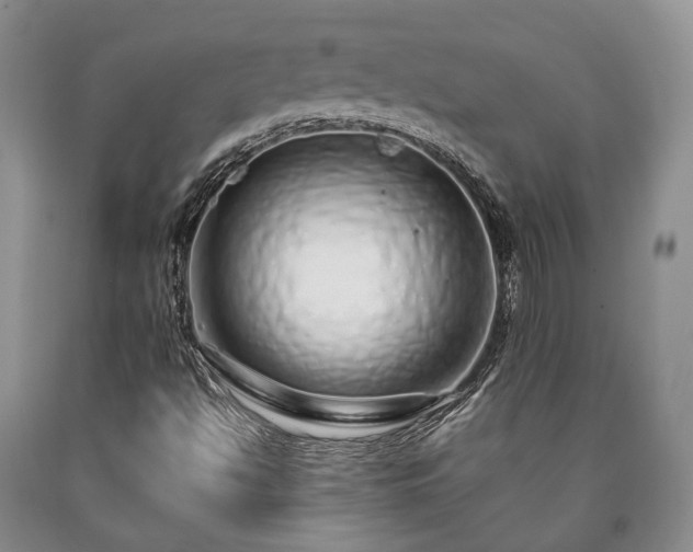 X0000090451494200707201303