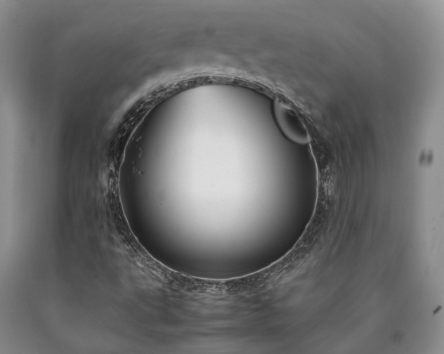 X0000090451495200707201303