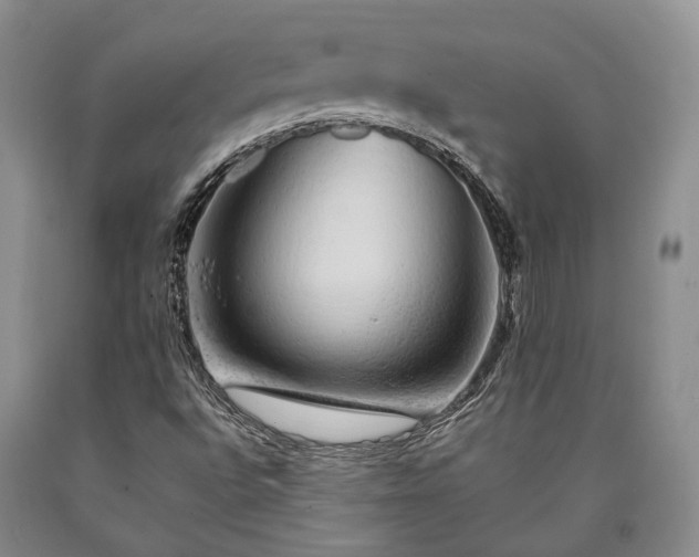 X0000090451496200707201303