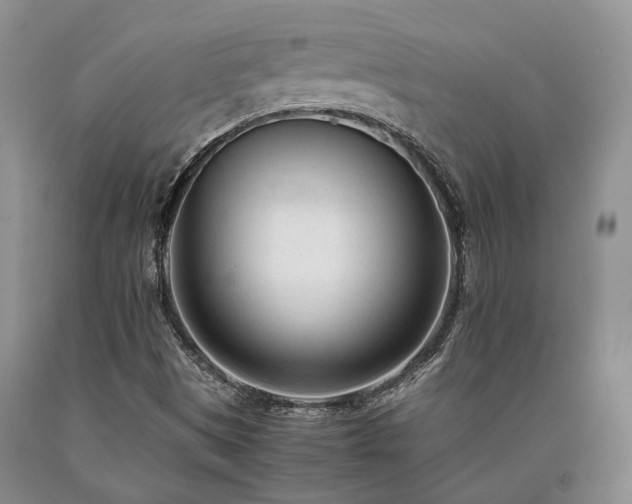 X0000090451497200707201303