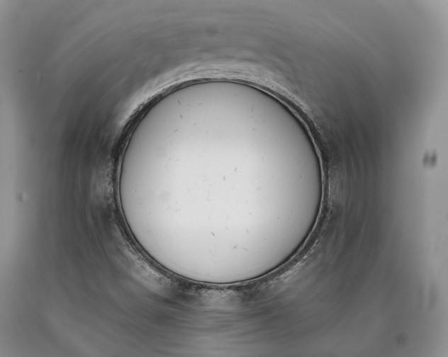 X0000090451498200707201303