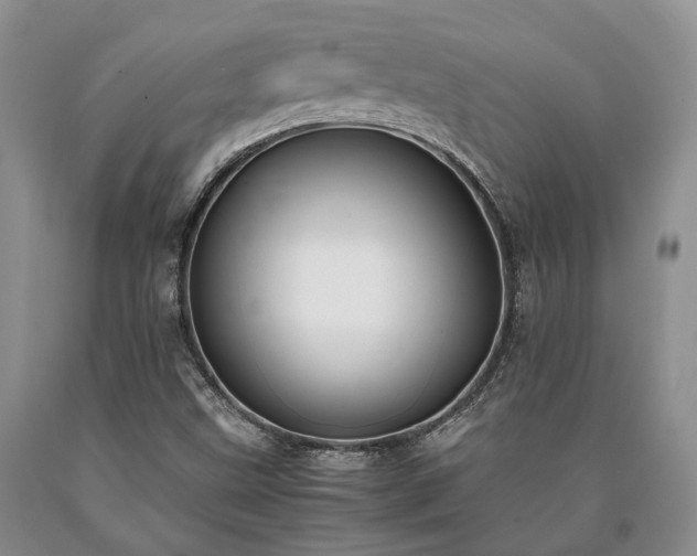 X0000090451499200707201303