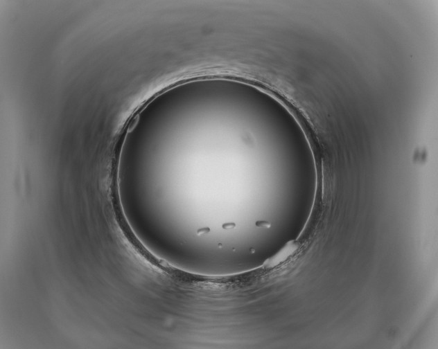 X0000090451500200707201303