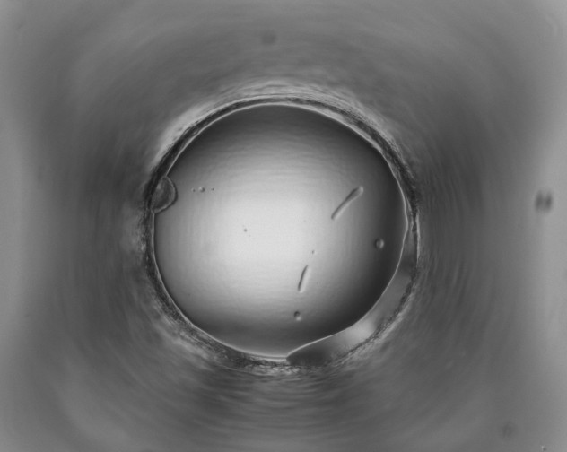 X0000090451501200707201303