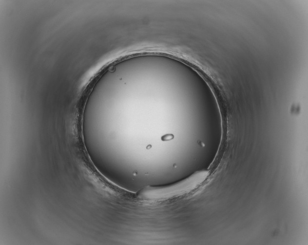 X0000090451502200707201303