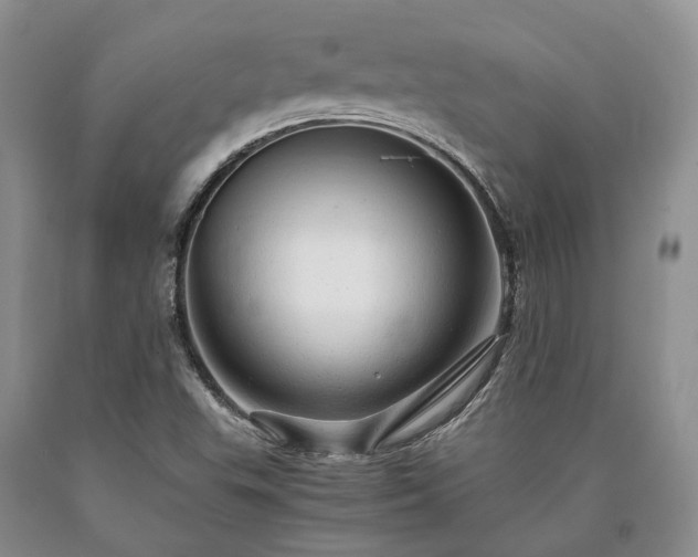 X0000090451503200707201303