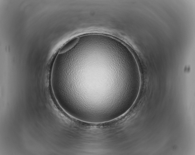 X0000090451504200707201303