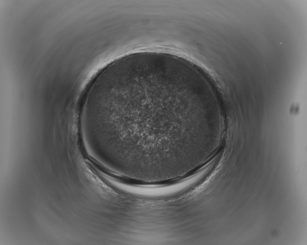 X0000090451506200707201303