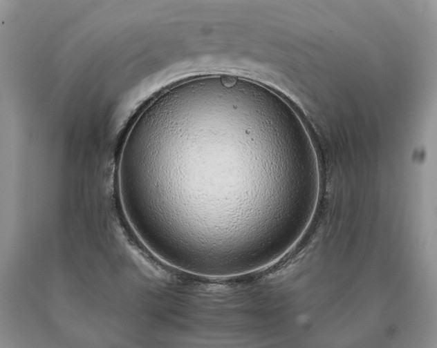 X0000090451507200707201303