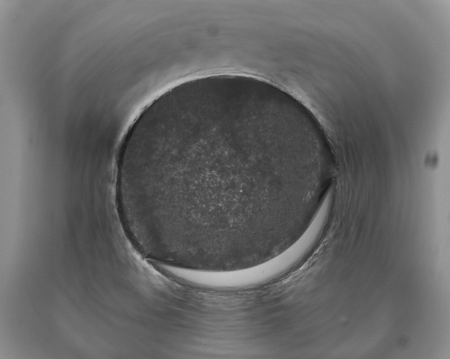 X0000090451508200707201303