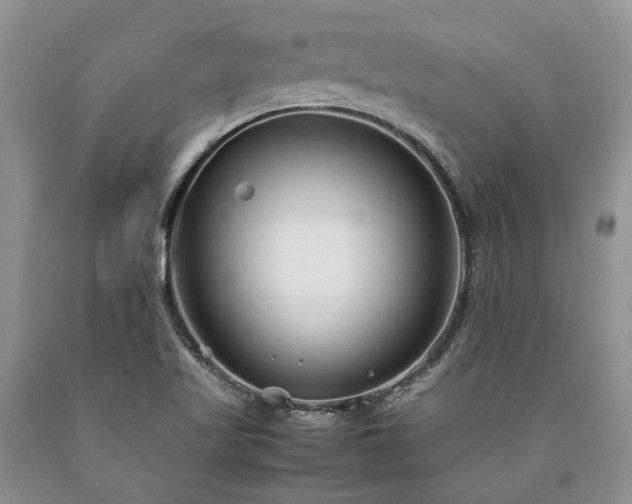 X0000090451509200707201303