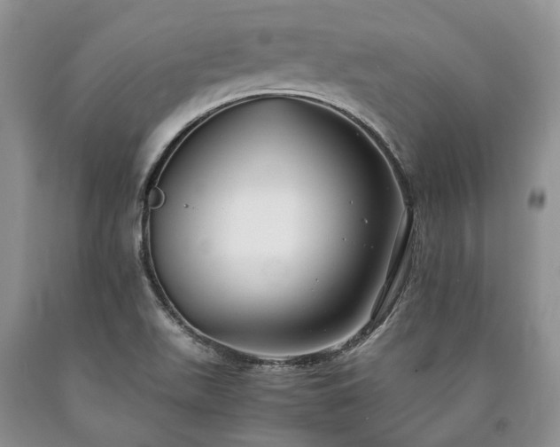 X0000090451511200707201303