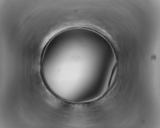 X0000090451512200707201303