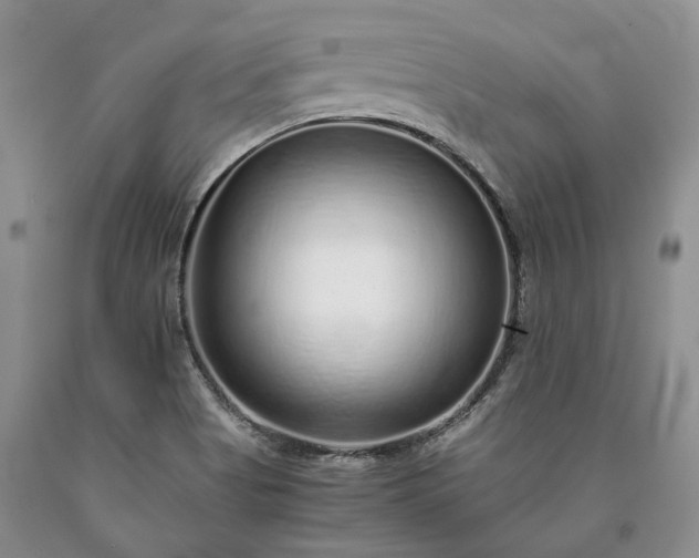 X0000090451513200707201303