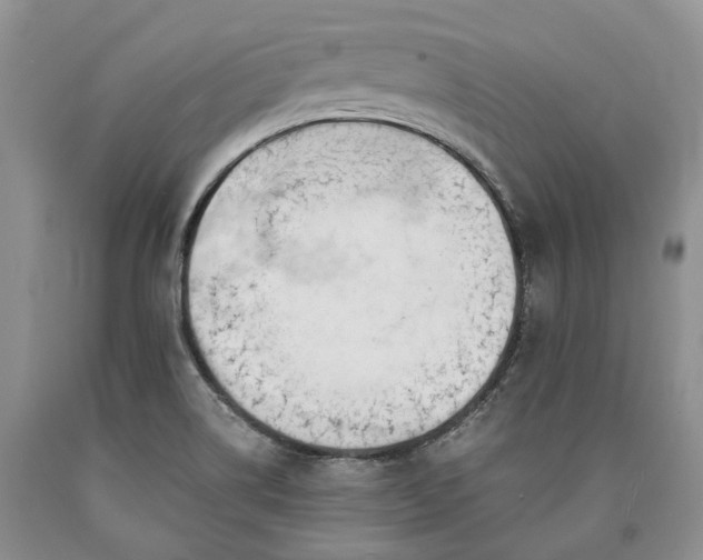 X0000090451514200707201303