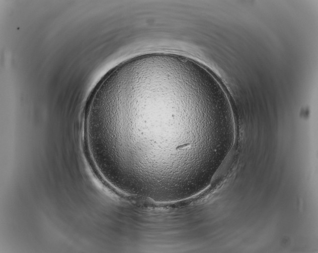X0000090451515200707201303