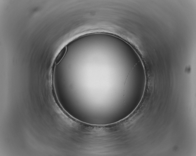 X0000090451516200707201303