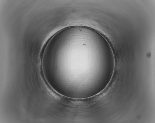 X0000090451517200707201303