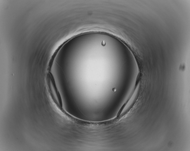 X0000090451518200707201303