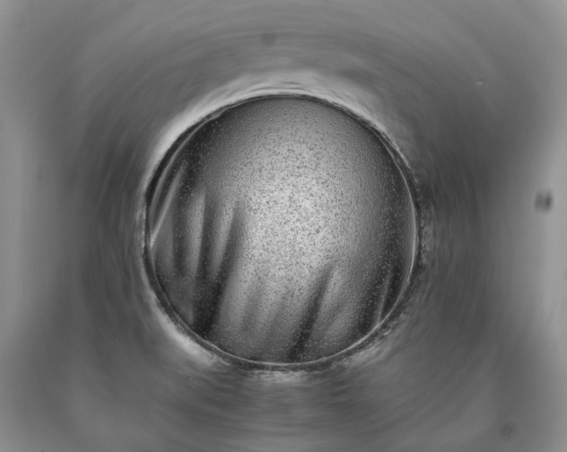 X0000090451519200707201303