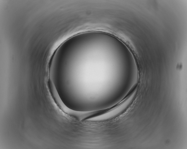 X0000090451520200707201303