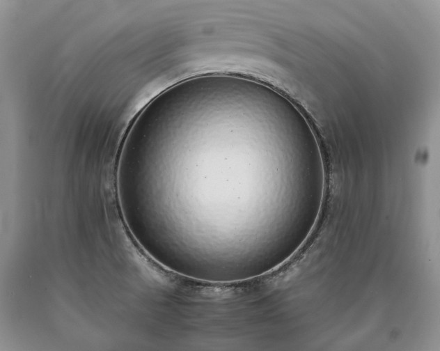 X0000090451521200707201303
