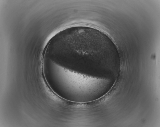 X0000090451522200707201303
