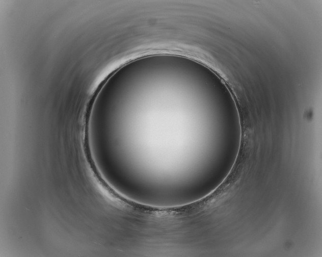 X0000090451523200707201303