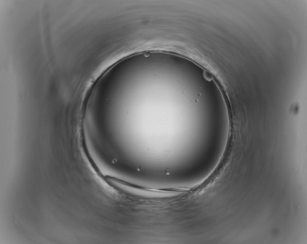 X0000090451525200707201303