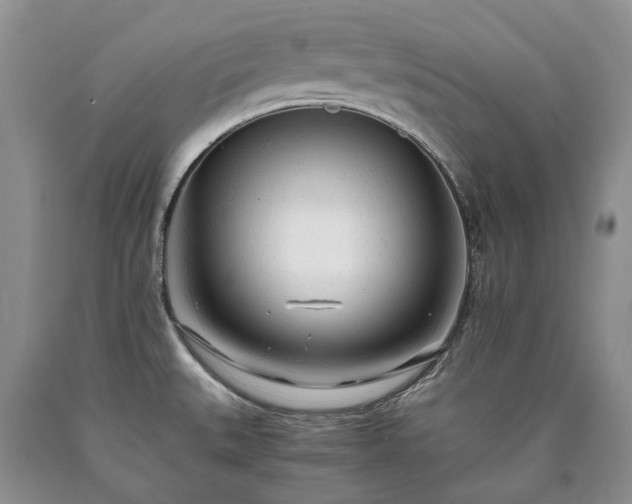 X0000090451527200707201303