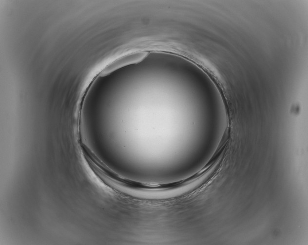 X0000090451528200707201303