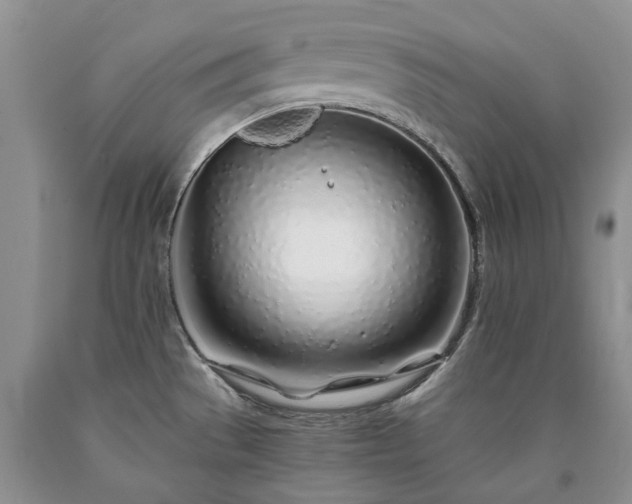 X0000090451529200707201303