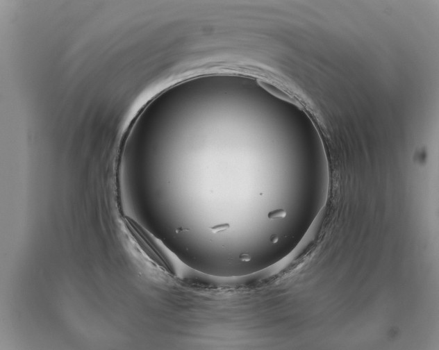 X0000090451530200707201303