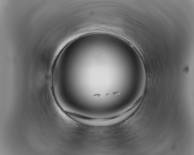 X0000090451531200707201303