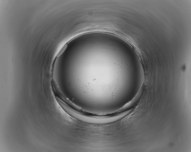 X0000090451532200707201303