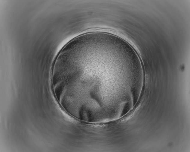 X0000090451533200707201303