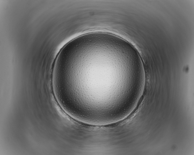 X0000090451534200707201303