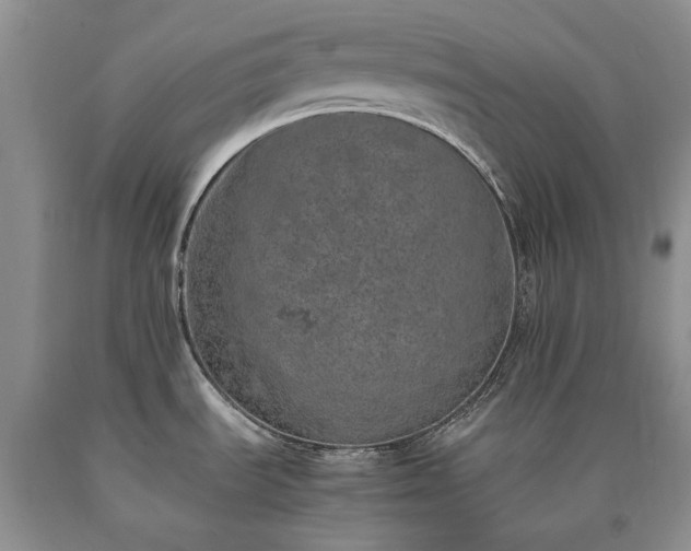 X0000090451535200707201303