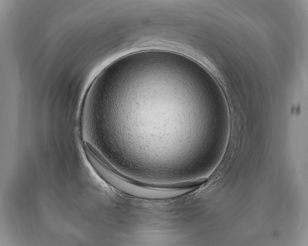 X0000090451536200707201303