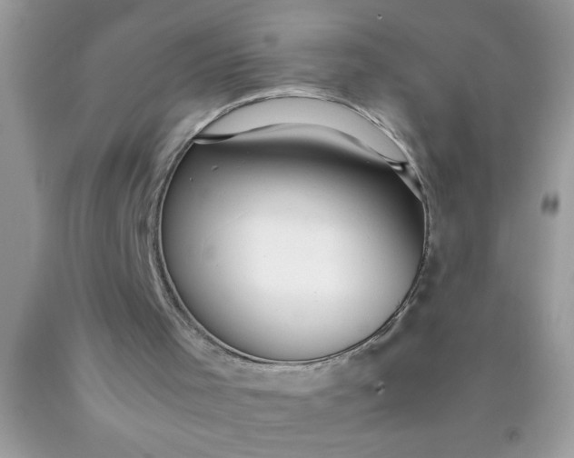 X0000090450001200707272225