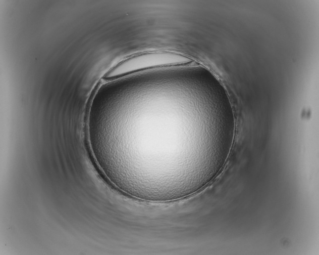 X0000090450002200707272225