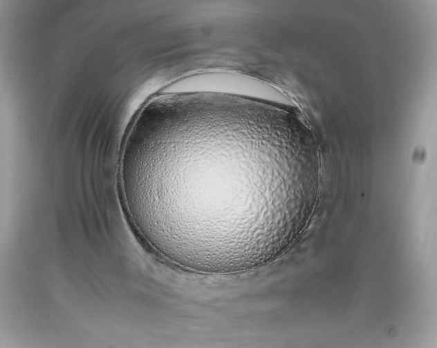 X0000090450003200707272225