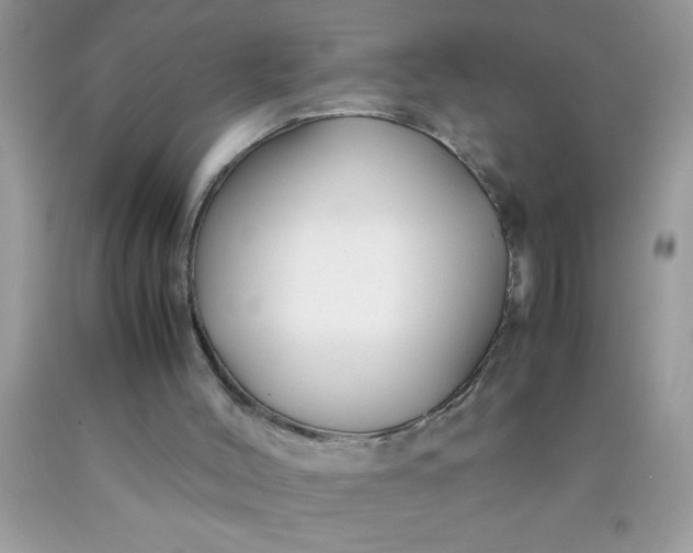 X0000090450004200707272225