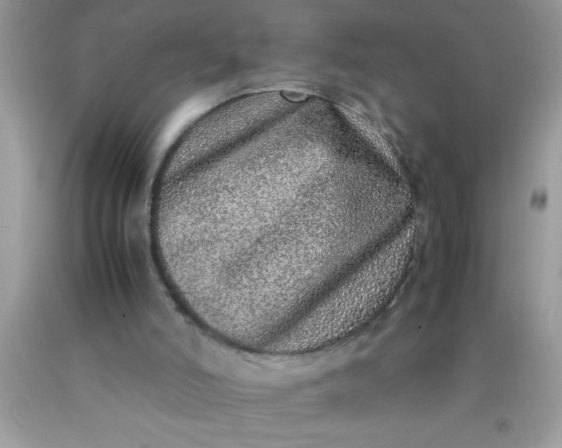 X0000090450006200707272225