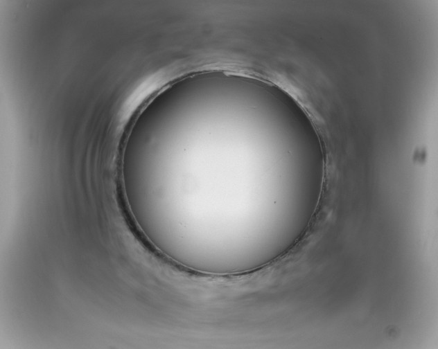 X0000090450007200707272225