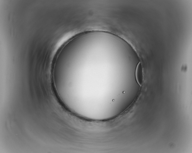 X0000090450008200707272225