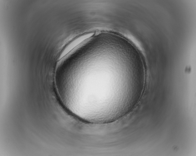 X0000090450009200707272225