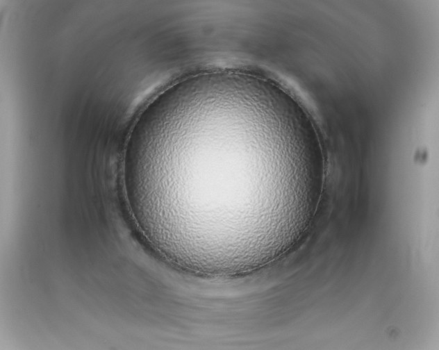 X0000090450010200707272225