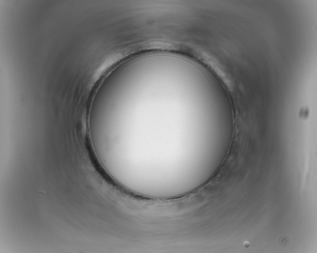 X0000090450011200707272225